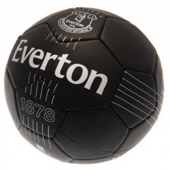 FC Everton piłka Skill Ball RT - size 5
