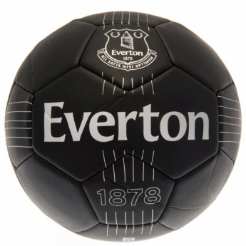 FC Everton piłka Skill Ball RT - size 5