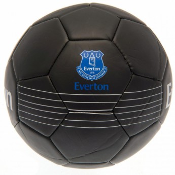 FC Everton piłka Skill Ball RT - size 5