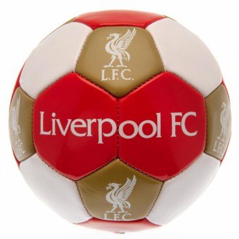 Liverpool zestaw piłkarski water bottle - hand pump - size 3 ball