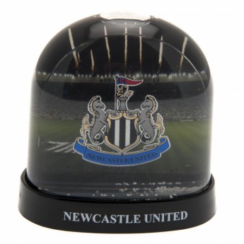 Newcastle United śnieżna kula Stadium Snow Dome