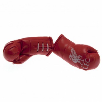 Liverpool mini rękawice bokserskie hanging red