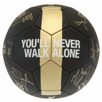 Liverpool piłka Premier League Champions Football Signature PH - size 5