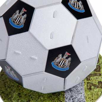 Newcastle United memory 3D Football