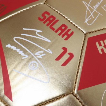 Liverpool piłka Premier League Champions Gold Signature Football - Size 5