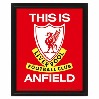 Liverpool obrazek w ramce 3D Picture