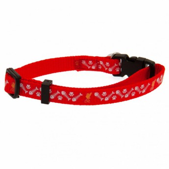 Liverpool obroża dla kotów red 19cm-31cm