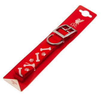 Liverpool obroża dla psa red Large 30cm x 55cm