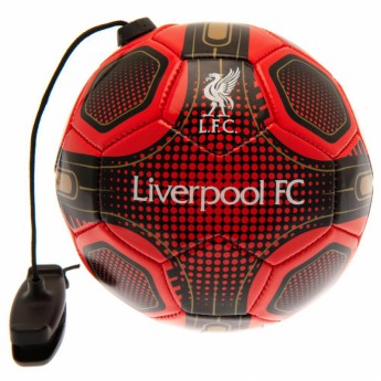 Liverpool mini futbolówka size 2 skills trainer