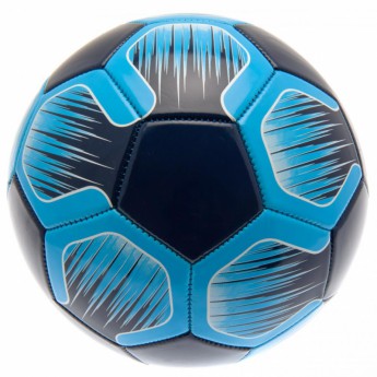 Tottenham piłka football ns