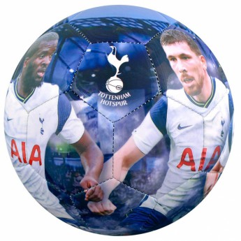 Tottenham piłka players photo football