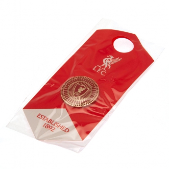 Liverpool pineska vintage badge
