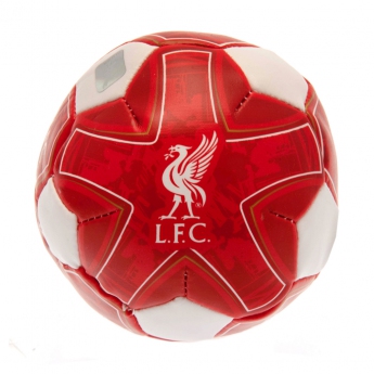 Liverpool mini futbolówka 4 inch Soft Ball