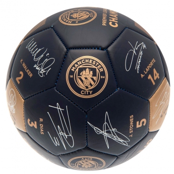 Manchester City piłka Premier League Champions Signature PH size 5