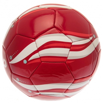 Reprezentacja piłki nożnej piłka 2022 Phoenix Football size 5