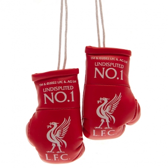 Liverpool mini rękawice bokserskie Mini Boxing Gloves RD