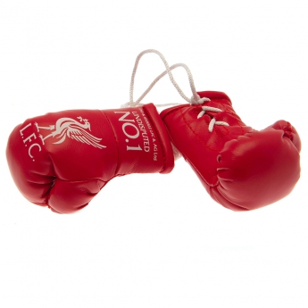 Liverpool mini rękawice bokserskie Mini Boxing Gloves RD