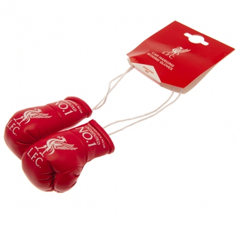 Liverpool mini rękawice bokserskie Mini Boxing Gloves RD