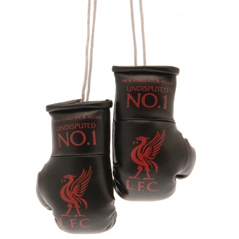Liverpool mini rękawice bokserskie Mini Boxing Gloves BK