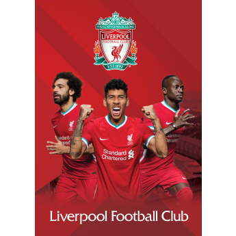 Liverpool zeszyt A5 Euco lined