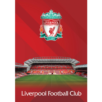 Liverpool zeszyt A5 Euco lined