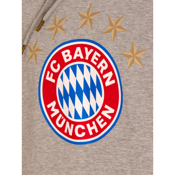 Bayern Monachium męska bluza z kapturem Logo grey