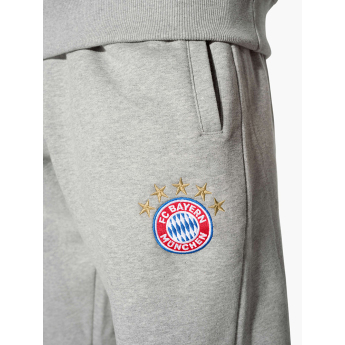 Bayern Monachium męskie spodnie od dresu Logo grey