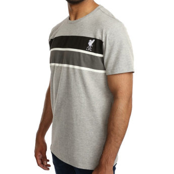 Liverpool koszulka męska Stripe grey