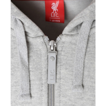 Liverpool dziecięca bluza z kapturem Zip grey