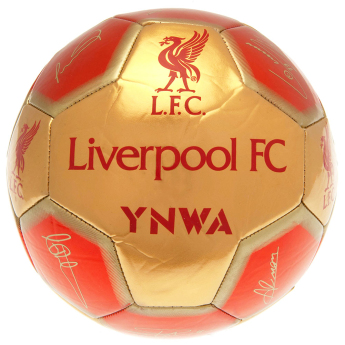 Liverpool piłka Sig 26 Football - Size 5