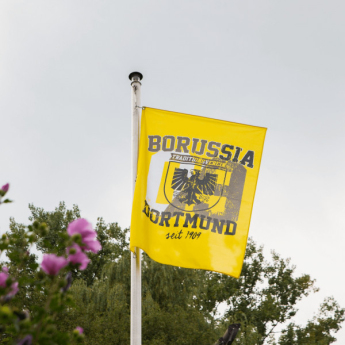 Borusia Dortmund flaga stadt logo