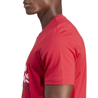 Manchester United koszulka męska DNA Graphic red