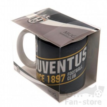 Juventus kubek ES