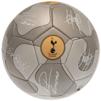 Tottenham piłka Camo Sig Football - Size 5