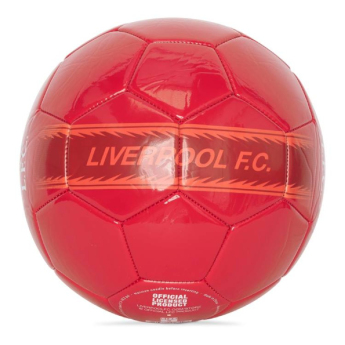 Liverpool piłka ball Liver Bird