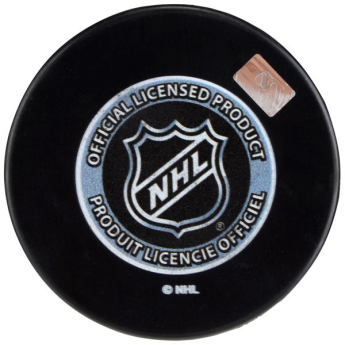 Anaheim Ducks krążek 2007 Stanley Cup Champions