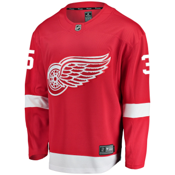 Detroit Red Wings hokejowa koszulka meczowa #35 Jimmy Howard Breakaway Alternate Jersey
