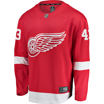 Detroit Red Wings hokejowa koszulka meczowa #43 Darren Helm Breakaway Alternate Jersey