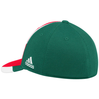 Minnesota Wild czapka baseballówka Adidas Echo Flex