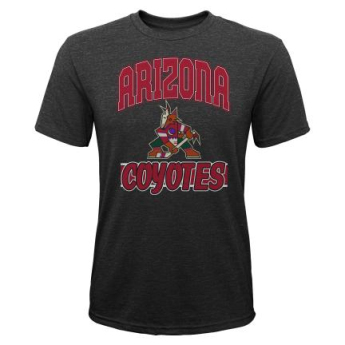 Arizona Coyotes koszulka dziecięca All Time Great Triblend black