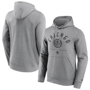 Chicago Blackhawks męska bluza z kapturem College Stamp Hoodie grey