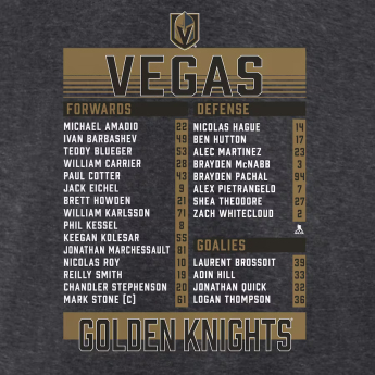 Vegas Golden Knights koszulka męska 2023 Stanley Cup Champions Roster Heather Charcoal