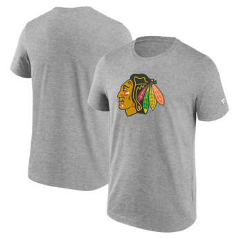 Chicago Blackhawks koszulka męska Primary Logo Graphic T-Shirt grey