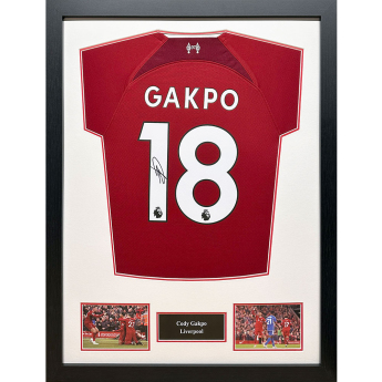 Słynni piłkarze koszulka w antyramie Liverpool FC  2022-2023 Gapko Signed Shirt (Framed)