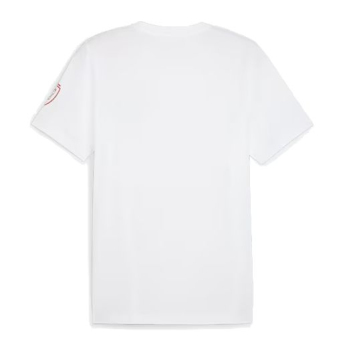 Reprezentacja piłki nożnej koszulka męska Czech republic Ftblicons Tee white