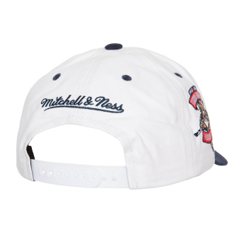 Florida Panthers czapka baseballówka Tail Sweep Pro Snapback Vintage