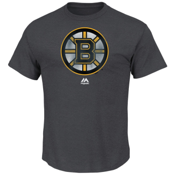 Boston Bruins koszulka męska Raise the Level grey