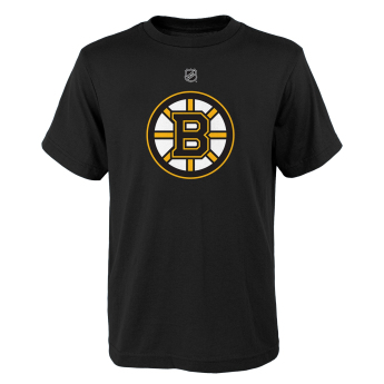 Boston Bruins koszulka męska Team Logo black