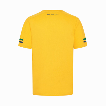 Ayrton Senna koszulka męska Stripe yellow 2024