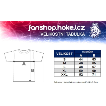 Reprezentacje hokejowe koszulka damska grey Czech Ice Hockey logo lion